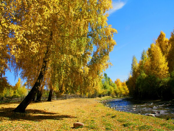 Осень бабье лето
