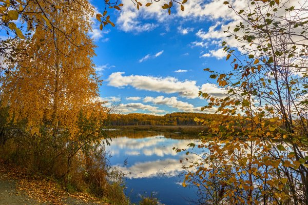 Сентябрьский пейзаж
