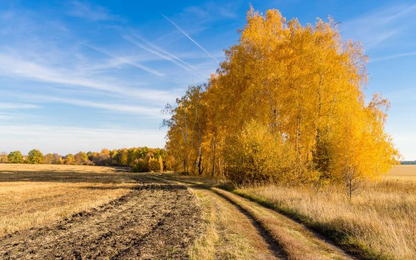 Осень бабье лето