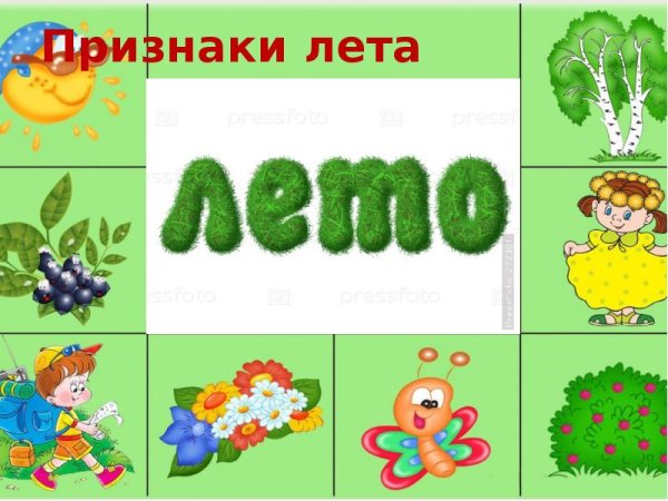 Лето признаки лета