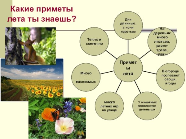 Приметы лето для дошкольников