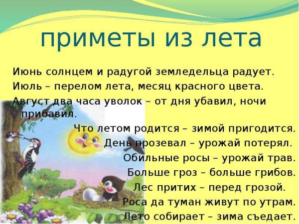 Народные приметы о лете для детей