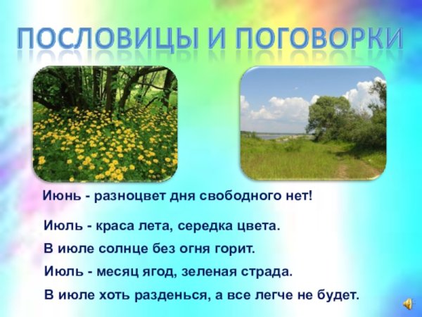 Поговорки про лето