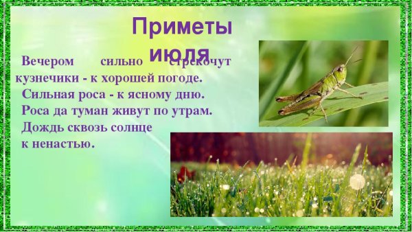 Народные приметы про лето