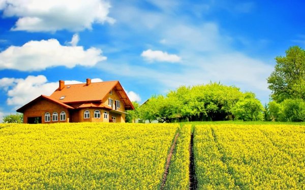 Лето в деревне