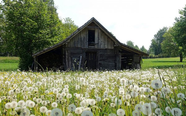 Деревенский пейзаж