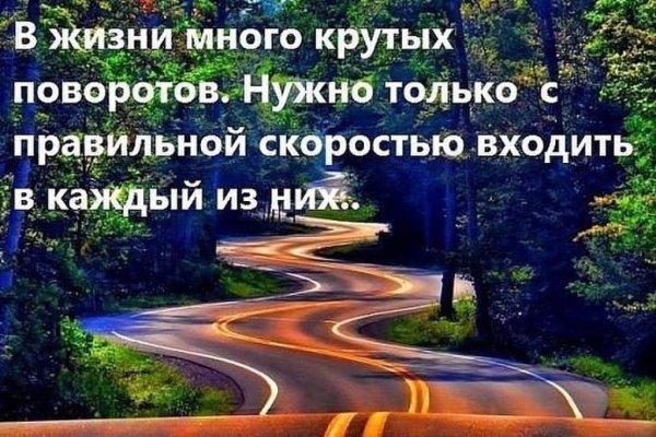 Извилистая Лесная дорога