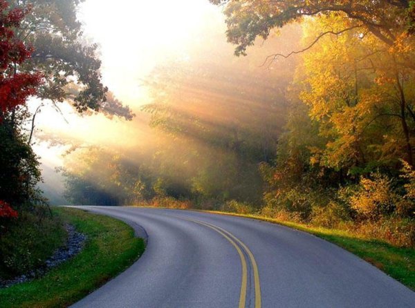 Красивая дорога