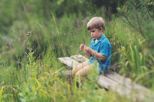 Мальчик летом