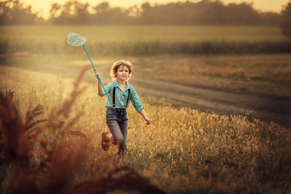 Безмолвна неба синева Солоухин