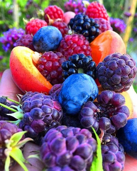 Море фрукты