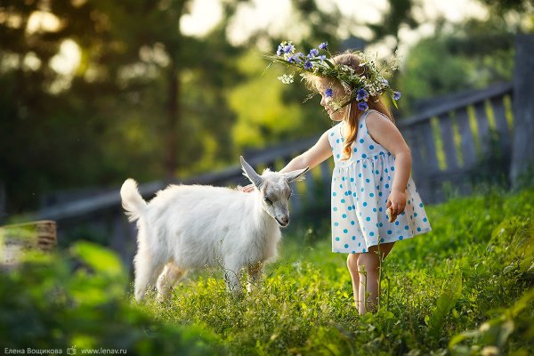 Козочки в деревне