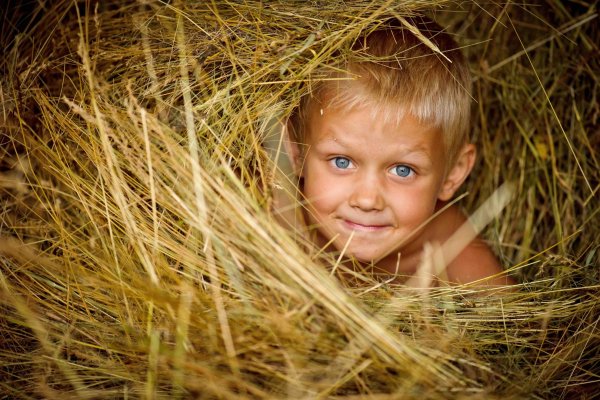 Счастливые дети в деревне