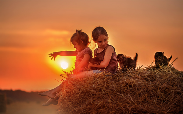 Счастливые дети солнце