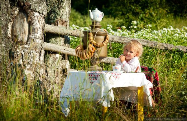 Утро в деревне детство