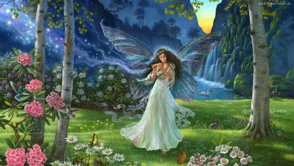 Сказочный мир анимации