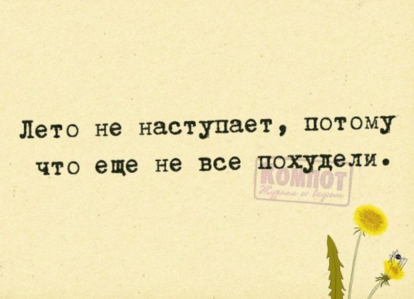 Наступило лето юмор
