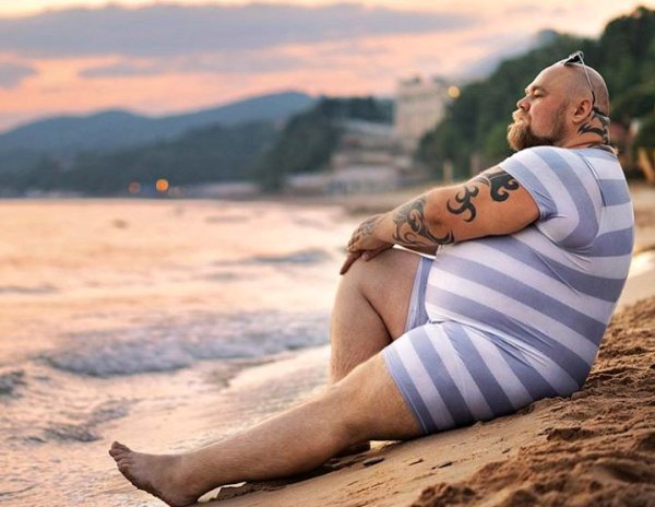 Приколы про диету