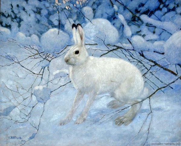 Заяц меняет цвет шубки