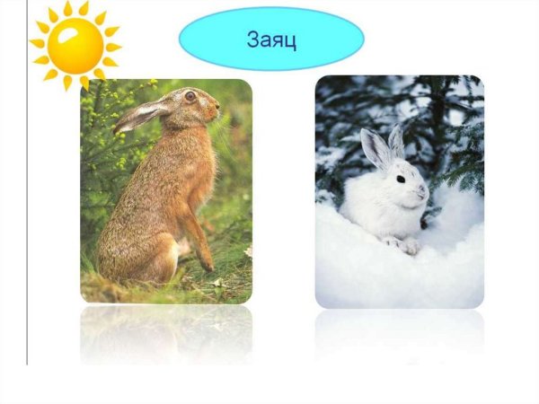 Новогодний зайчик для детей