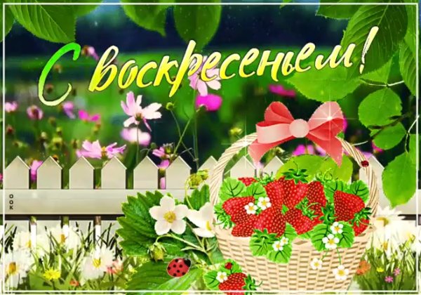 Последнее воскресенье лета