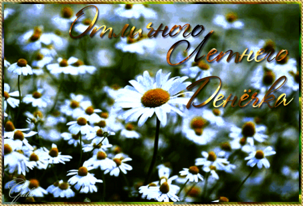 Последние выходные весны