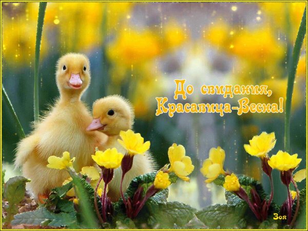 Последние деньки лета