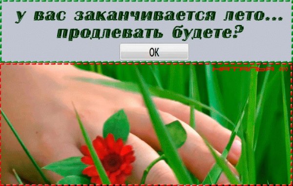 Лето кончается, продлевать будем?