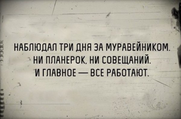 Приколы уходящего лета