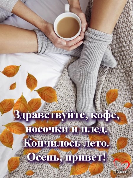 Прелестно ворона