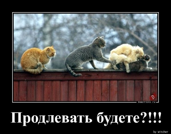 Последние дни лета цитаты