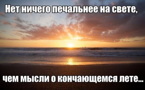 Смешные цитаты про лето