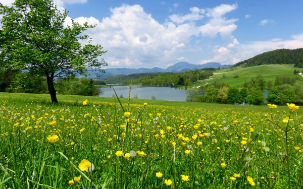 Палусские Луга