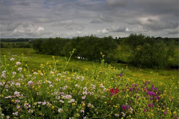 Луга Псковской области