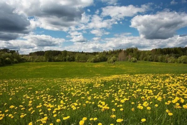 Заливные Луга Подмосковья