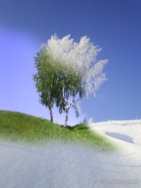 Из зимы в весну