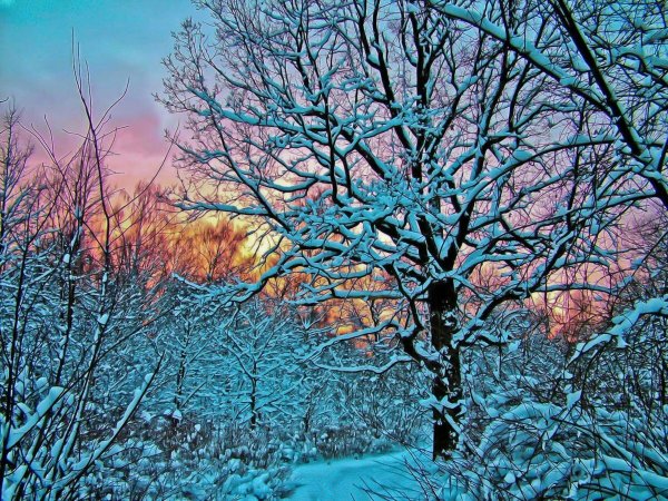 Сезоны года картинки