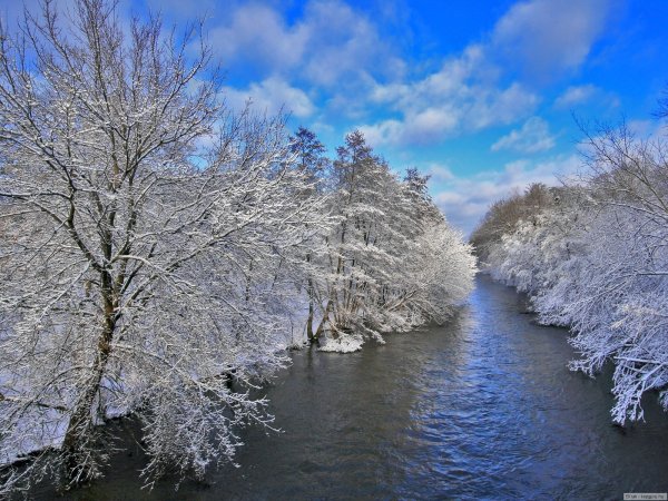 Природа зима лето