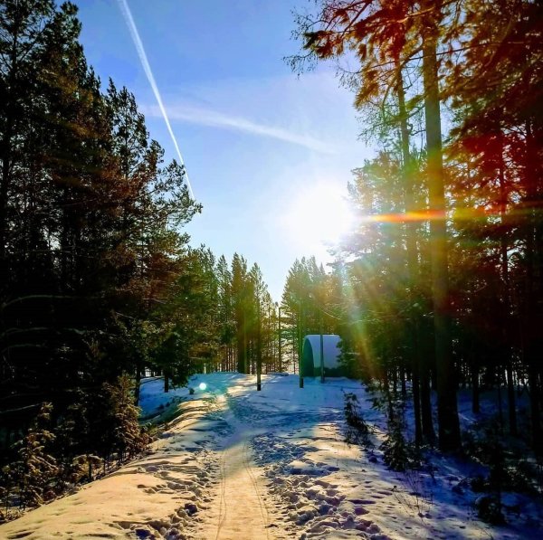 Время года зима