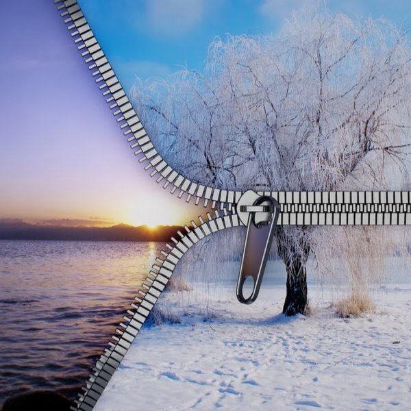 Зимний лес Россия