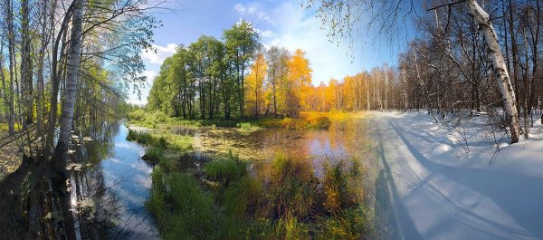 Поры года картинки