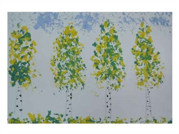 Береза летом осенью зимой весной