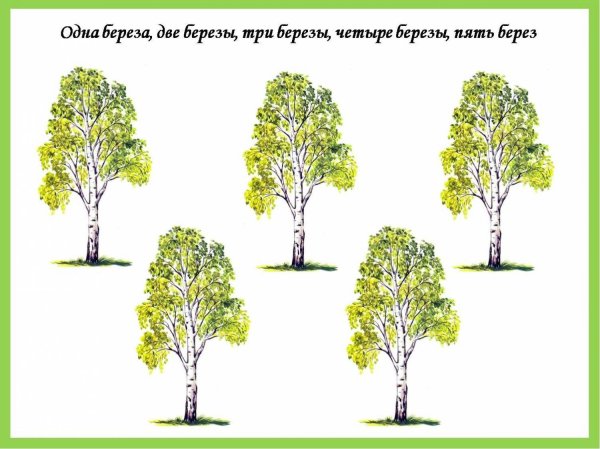 Лиственные деревья для детей