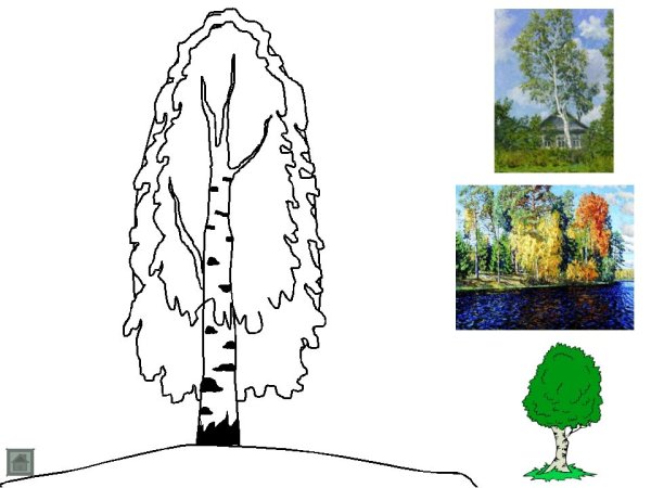 Береза бородавчатая осень