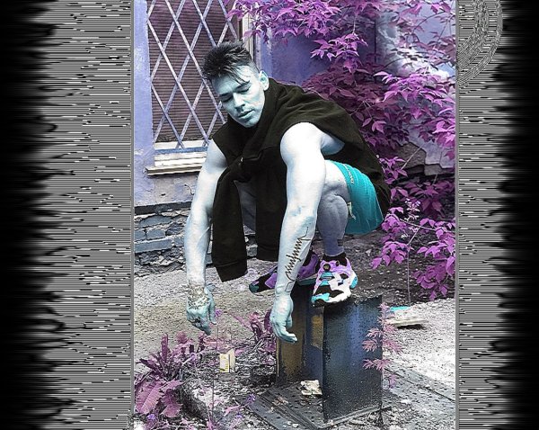 Нилетто Максвелл шоу