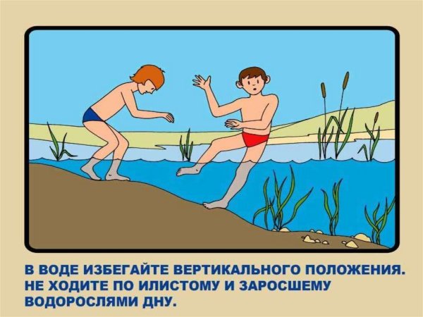 Безопасность в лесу для дошкольников