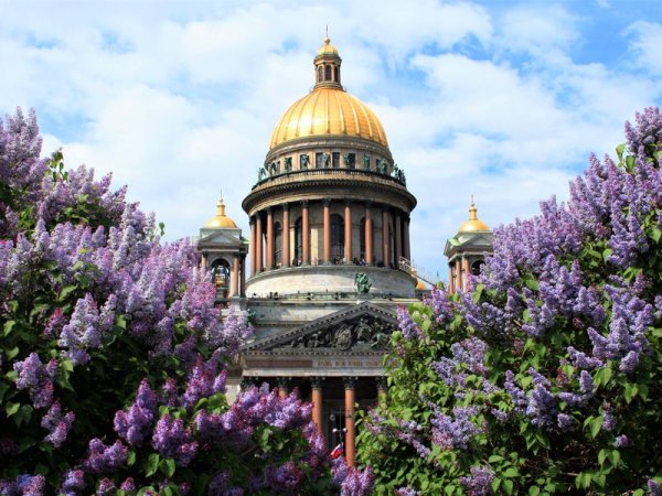 Большой Петергофский дворец Grand Peterhof Palace