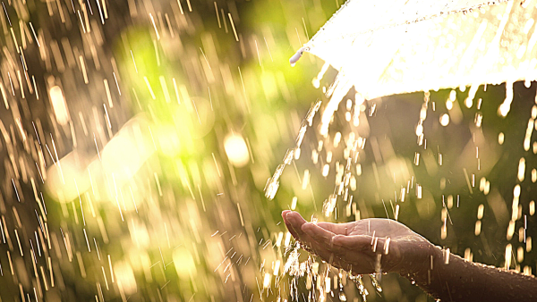 Август дождь