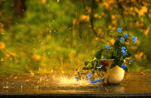 Дождливое лето в городе