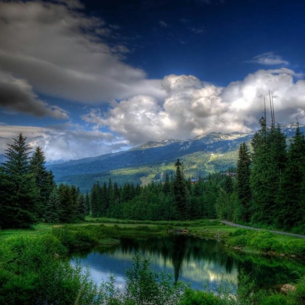 Природа на аву